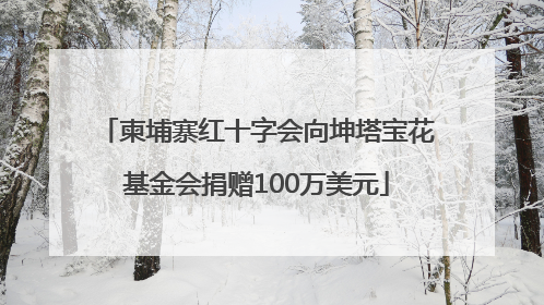 柬埔寨红十字会向坤塔宝花基金会捐赠100万美元