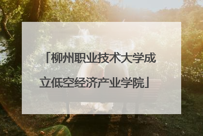 柳州职业技术大学成立低空经济产业学院