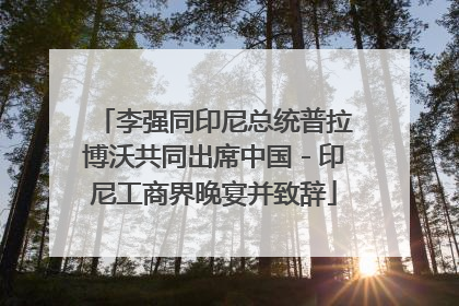 李强同印尼总统普拉博沃共同出席中国－印尼工商界晚宴并致辞