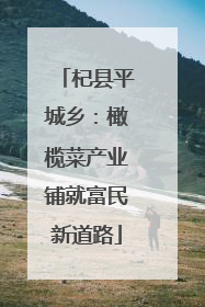 杞县平城乡：橄榄菜产业铺就富民新道路