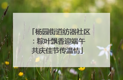 杨园街道纺器社区：粽叶飘香迎端午 共庆佳节传温情