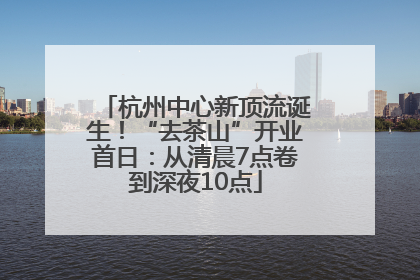 杭州中心新顶流诞生！“去茶山”开业首日：从清晨7点卷到深夜10点