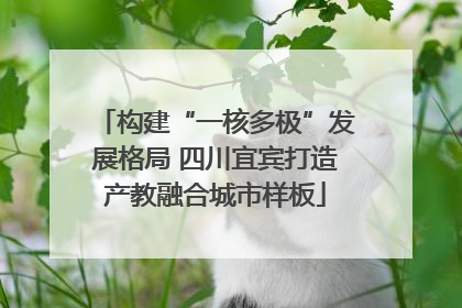 构建“一核多极”发展格局 四川宜宾打造产教融合城市样板