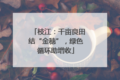 枝江：千亩良田结“金穗”，绿色循环助增收