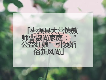 枣强县大营镇教师曹淑尚家庭：“公益红娘”引领婚俗新风尚
