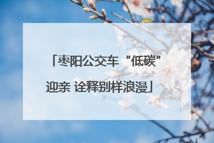 枣阳公交车“低碳”迎亲 诠释别样浪漫