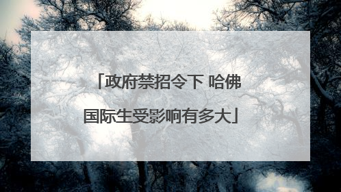 政府禁招令下 哈佛国际生受影响有多大