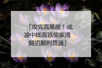 攻克高难度！成渝中线高铁荣家湾隧道顺利贯通