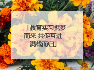 教育实习携梦而来 共促互进满载而归