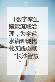 数字孪生赋能流域治理，为全省水治理现代化实践贡献“长沙智慧”