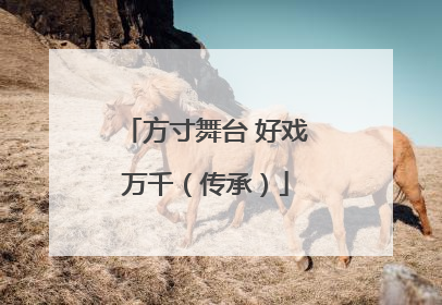 方寸舞台 好戏万千（传承）