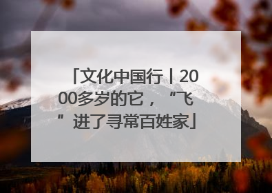 文化中国行丨2000多岁的它，“飞”进了寻常百姓家