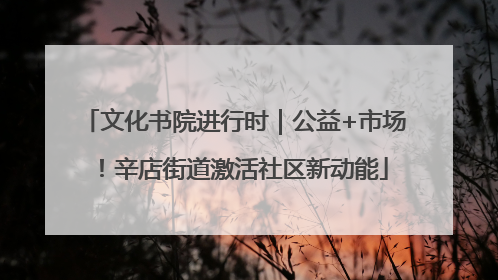 文化书院进行时｜公益+市场！辛店街道激活社区新动能