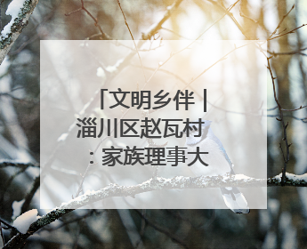 文明乡伴｜淄川区赵瓦村：家族理事大总“理”出文明新风尚