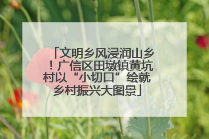 文明乡风浸润山乡！广信区田墩镇黄坑村以“小切口”绘就乡村振兴大图景