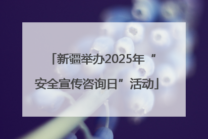 新疆举办2025年“安全宣传咨询日”活动
