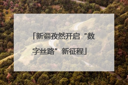 新疆孜然开启“数字丝路”新征程