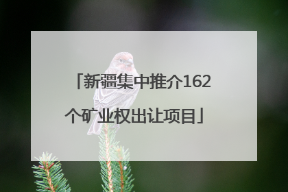 新疆集中推介162个矿业权出让项目