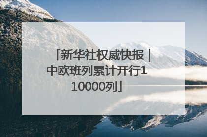 新华社权威快报｜中欧班列累计开行110000列