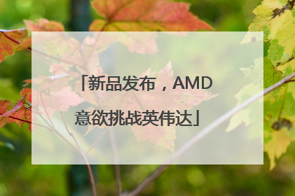 新品发布，AMD意欲挑战英伟达