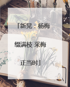 新晃：杨梅缀满枝 采梅正当时