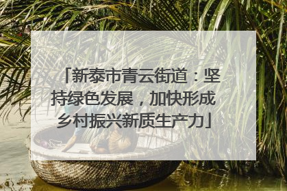 新泰市青云街道：坚持绿色发展，加快形成乡村振兴新质生产力