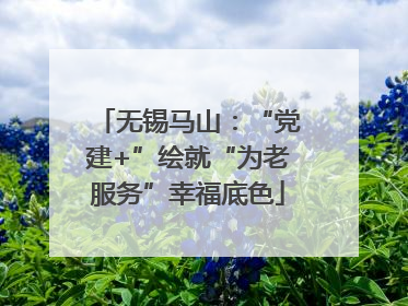 无锡马山：“党建+”绘就“为老服务”幸福底色