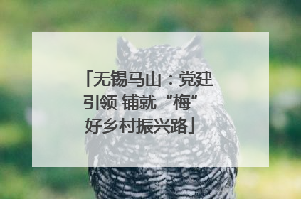 无锡马山：党建引领 铺就“梅”好乡村振兴路