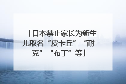 日本禁止家长为新生儿取名“皮卡丘”“耐克”“布丁”等