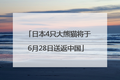 日本4只大熊猫将于6月28日送返中国