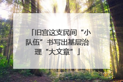旧宫这支民间“小队伍”书写出基层治理“大文章”
