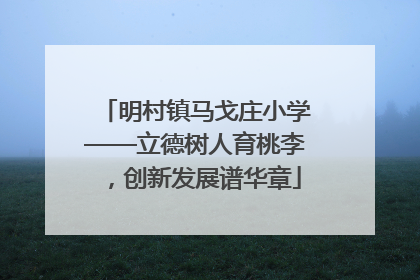 明村镇马戈庄小学——立德树人育桃李，创新发展谱华章