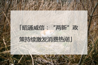 昭通威信：“两新”政策持续激发消费热潮