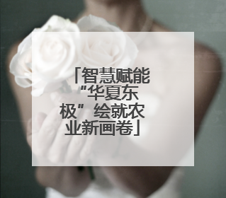 智慧赋能 “华夏东极”绘就农业新画卷