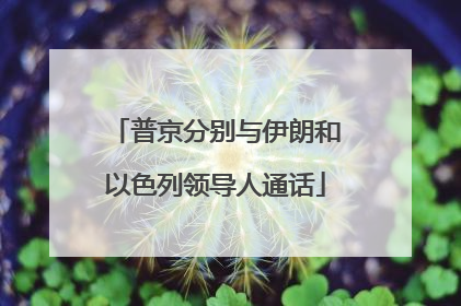 普京分别与伊朗和以色列领导人通话