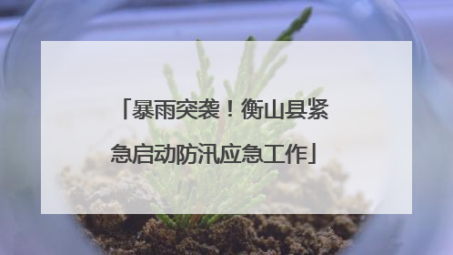 暴雨突袭！衡山县紧急启动防汛应急工作