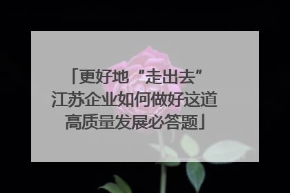 更好地“走出去” 江苏企业如何做好这道高质量发展必答题