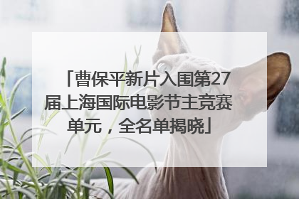 曹保平新片入围第27届上海国际电影节主竞赛单元，全名单揭晓