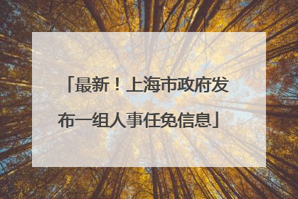 最新！上海市政府发布一组人事任免信息