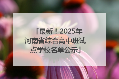 最新！2025年河南省综合高中班试点学校名单公示