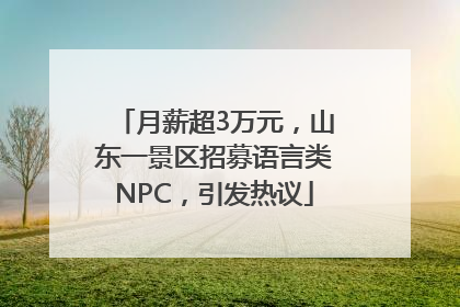 月薪超3万元，山东一景区招募语言类NPC，引发热议