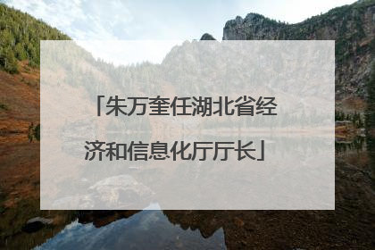 朱万奎任湖北省经济和信息化厅厅长