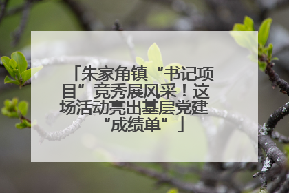 朱家角镇“书记项目”竞秀展风采！这场活动亮出基层党建“成绩单”