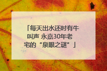 每天出水还时有牛叫声 永嘉30年老宅的“泉眼之谜”