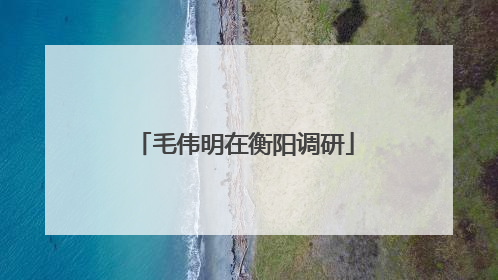 毛伟明在衡阳调研