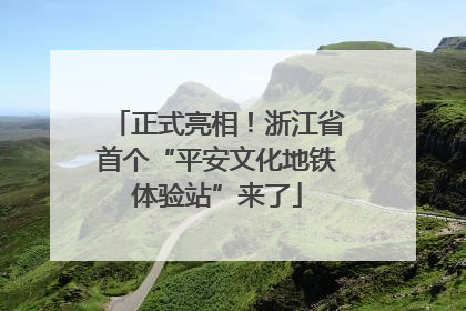 正式亮相！浙江省首个“平安文化地铁体验站”来了
