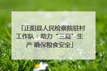 正阳县人民检察院驻村工作队：助力“三夏”生产 确保粮食安全