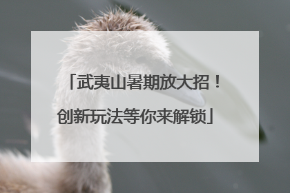 武夷山暑期放大招！创新玩法等你来解锁