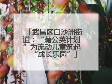 武昌区白沙洲街道：“蒲公英计划”为流动儿童筑起“成长乐园”