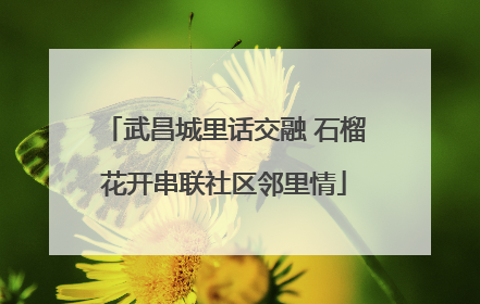 武昌城里话交融 石榴花开串联社区邻里情